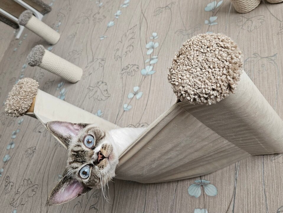Лежанка настенная для кошек, тканевая, бежевая - фотография № 2