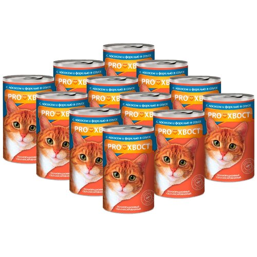Прохвост консервы для кошек с Лососем и Форелью в соусе 415г х 12 шт