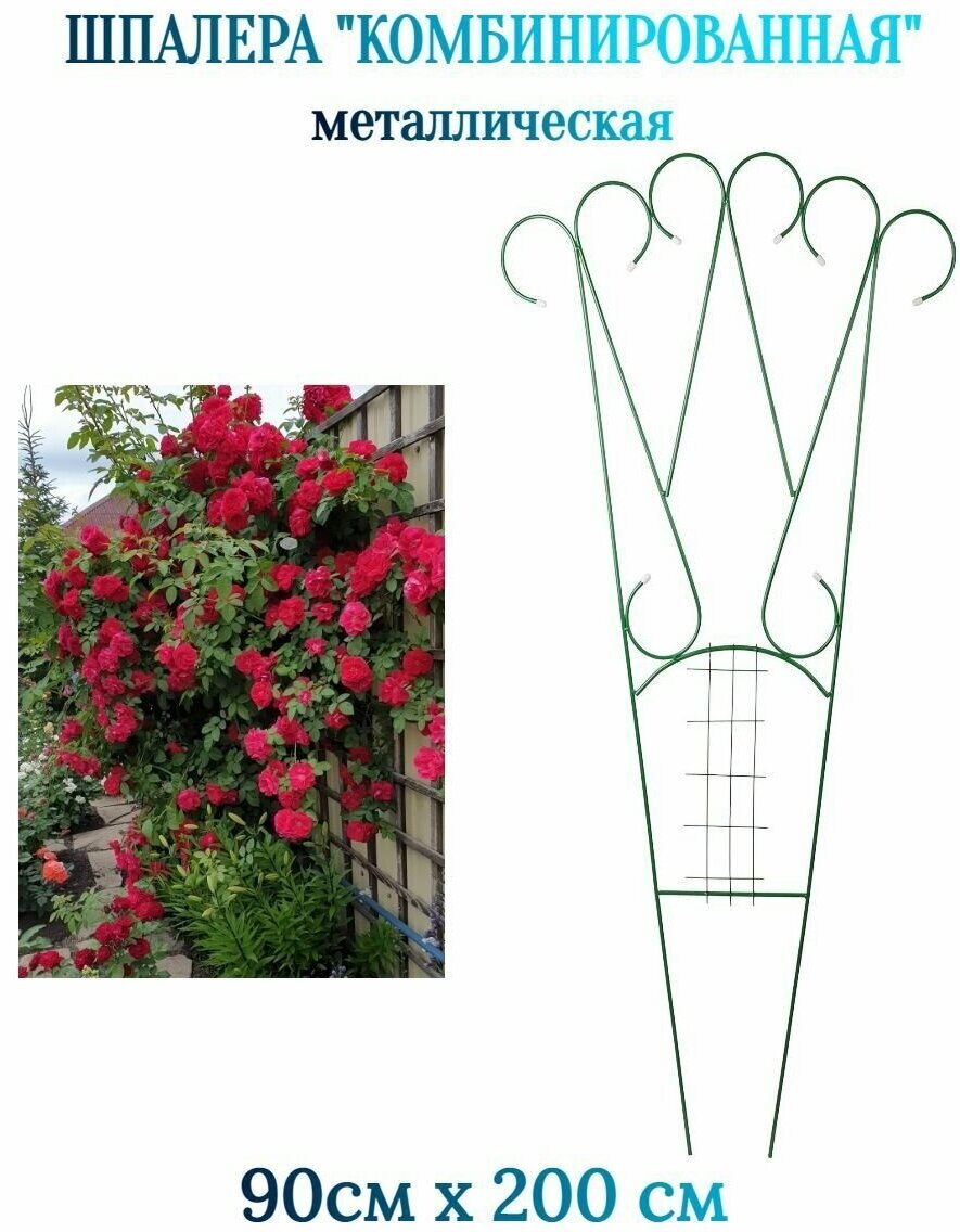 фото Шпалера комбинированная