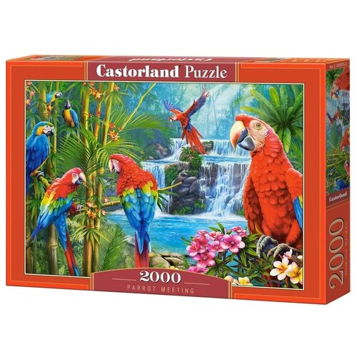 Пазл Castorland 2000 деталей: Попугаи пазл castorland совы 2000 эл c 200535