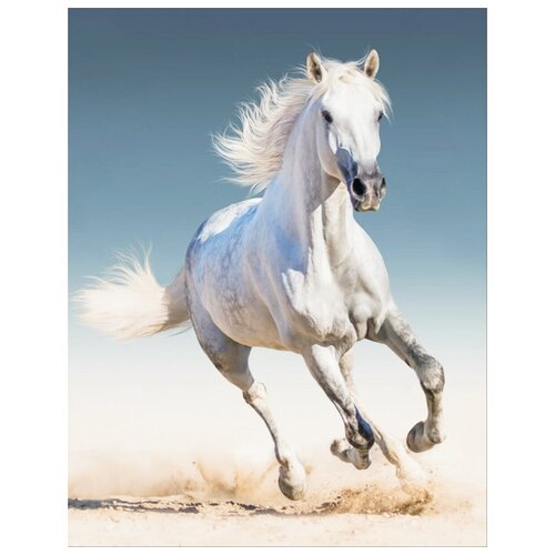 Купить Алмазная живопись LG192 Белая лошадь , Цветной