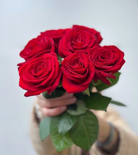 Изображение товара Букет из 7 красных роз 50 см, монобукет из роз на ленте, букет живых цветов, Россия