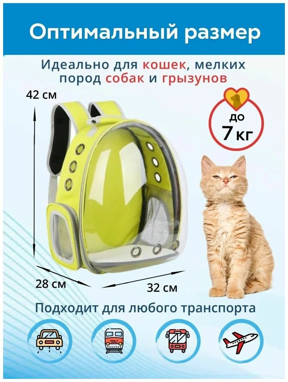 Картинки Рюкзак переноска для кошек и собак с панорамным иллюминатором / Рюкзак переноска для животных