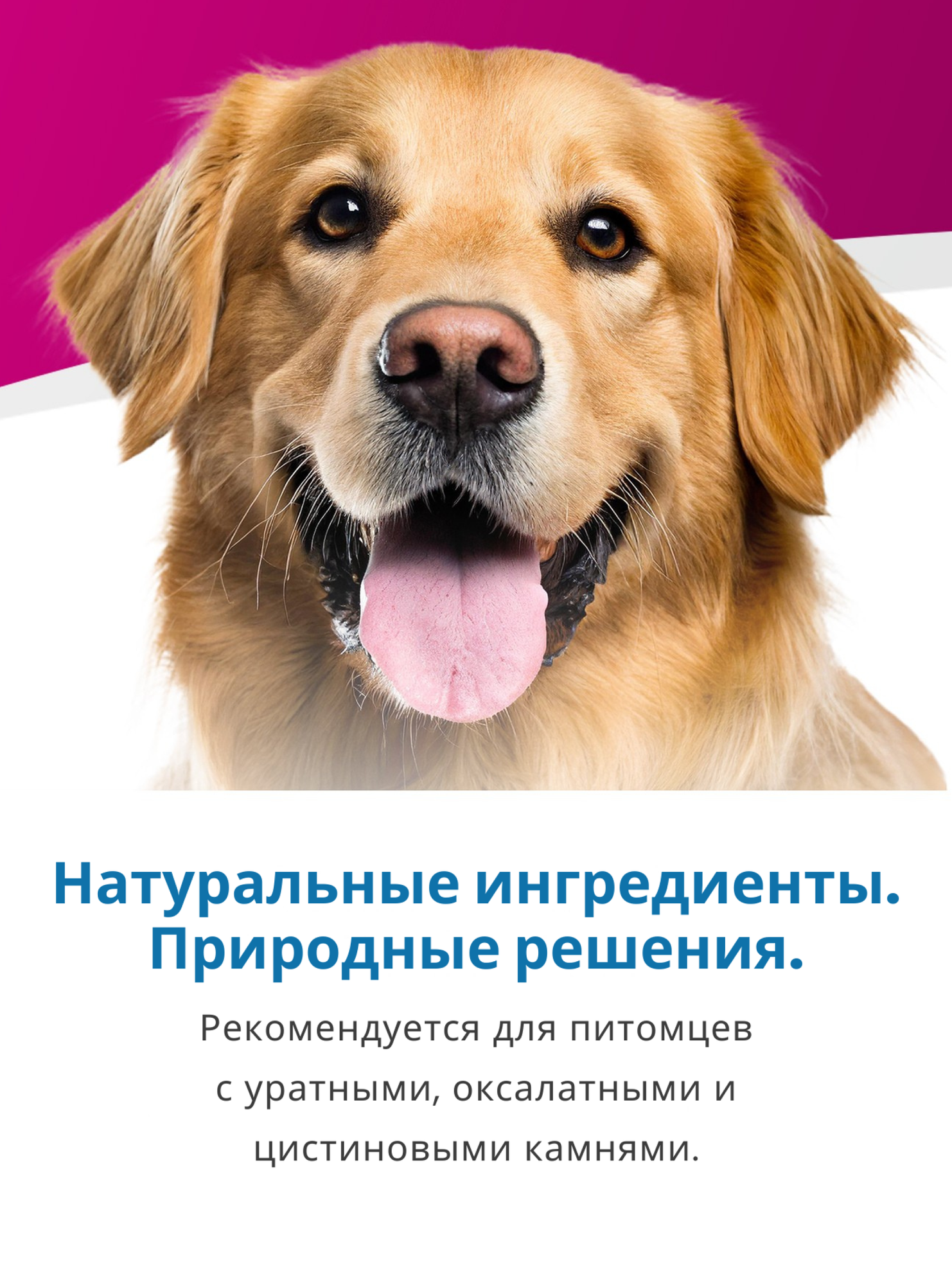 Картинки Сухой корм Farmina Vet Life Oxalate, для собак с мочекаменной болезнью уратного, оксалатного и цистинового типа, диетический, злаки, 2кг