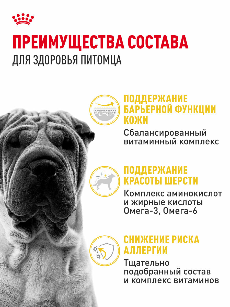 Сухой корм для собак средних пород Royal Canin Medium Dermacomfort при раздражении и зуде кожи, 3 кг — фото 1
