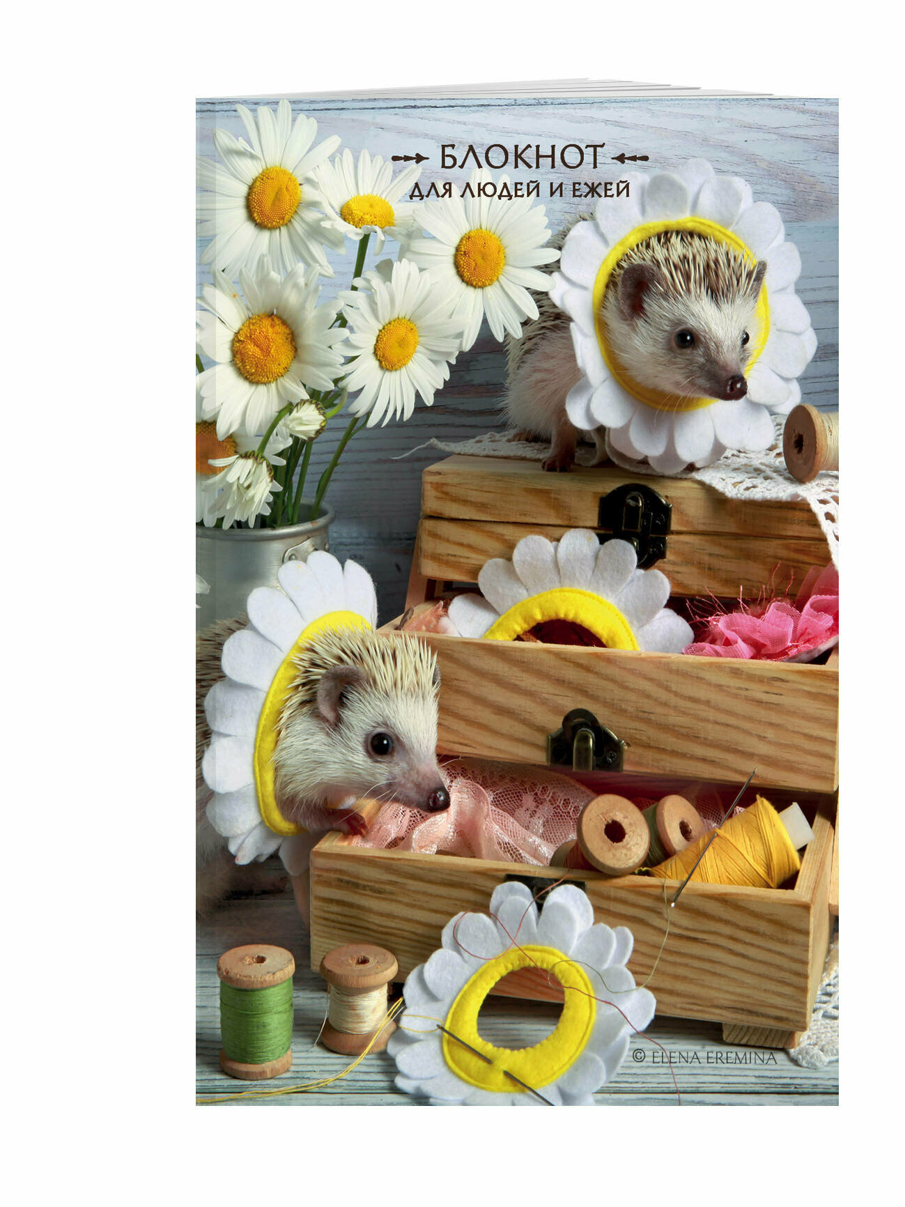 Еремина Е. П. Блокнот для людей и ежей (ромашки). 115х180мм мягкая обложка 64стр.