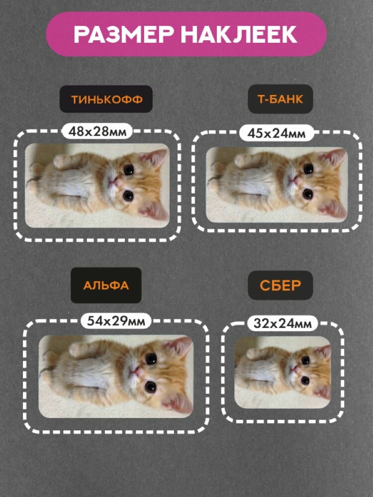 Наклейки на платежный стикер Кот — фото 1