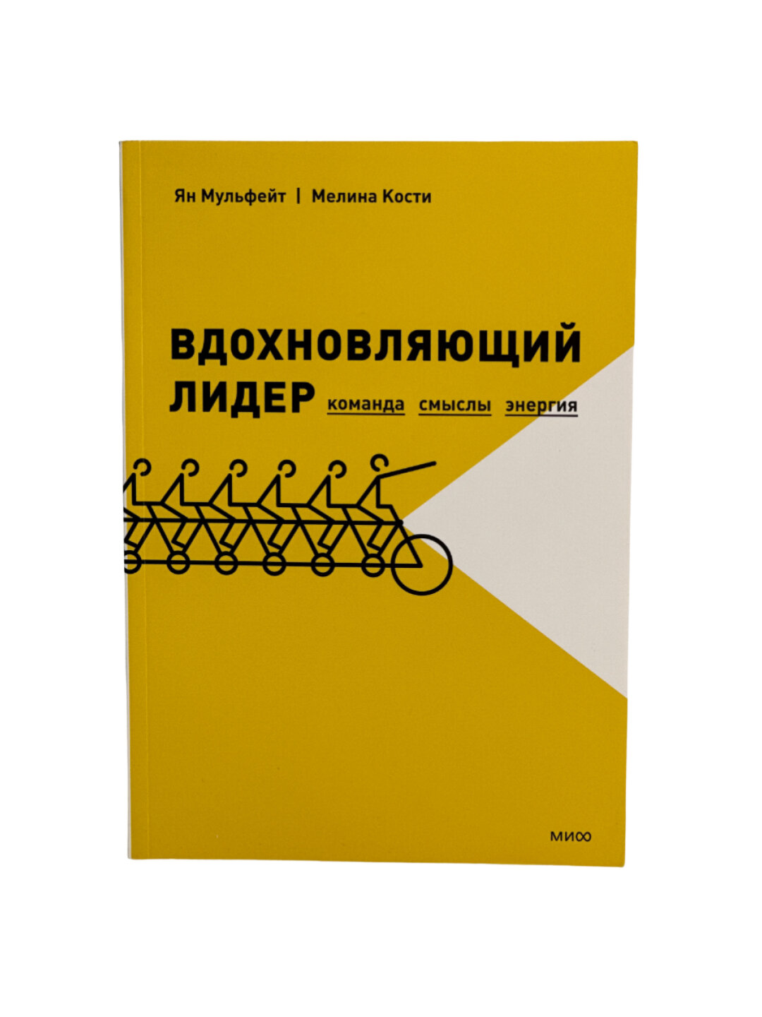 Вдохновляющий лидер. Команда. Смыслы. Энергия. Ян Мульфейт, Мелина Кости