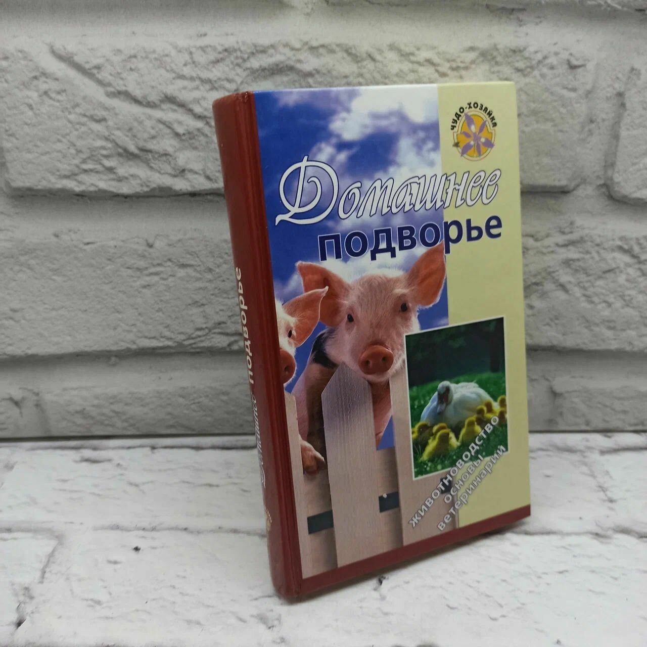 Домашнее подворье