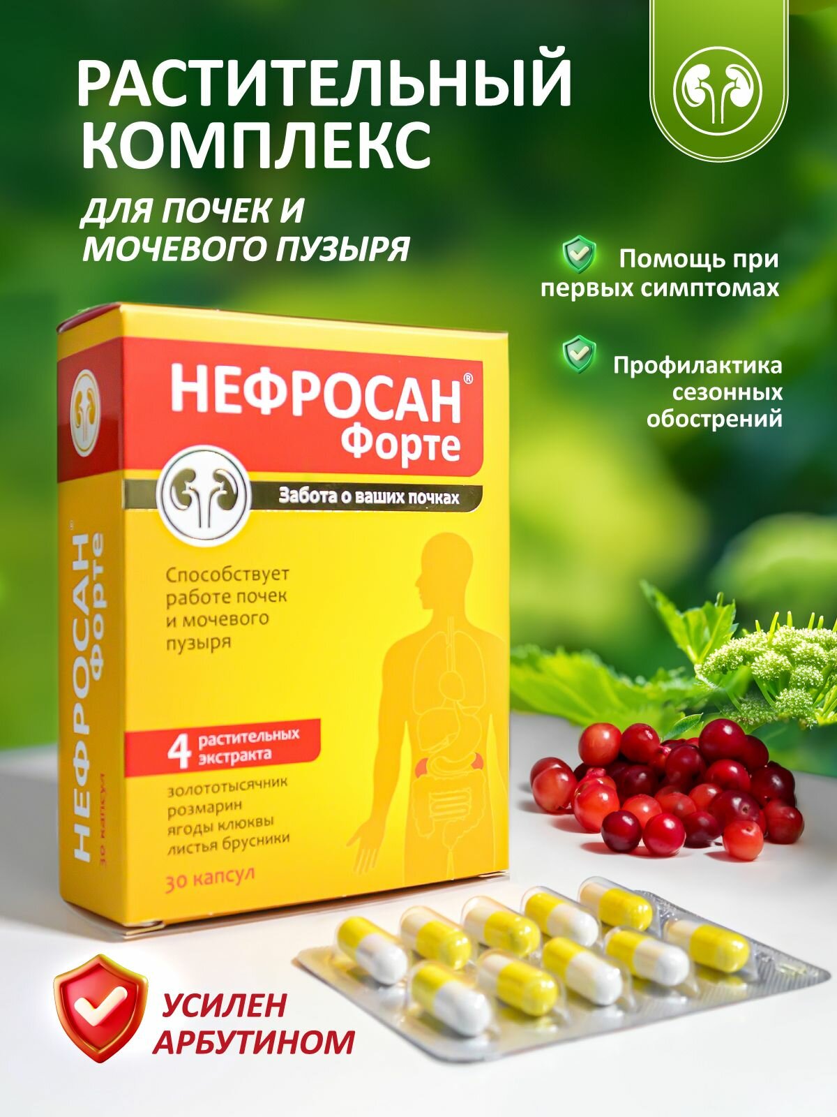 БАД для почек Нефросан Форте. Золототысячник, розмарин, клюква, брусника, арбутин, 30 капсул