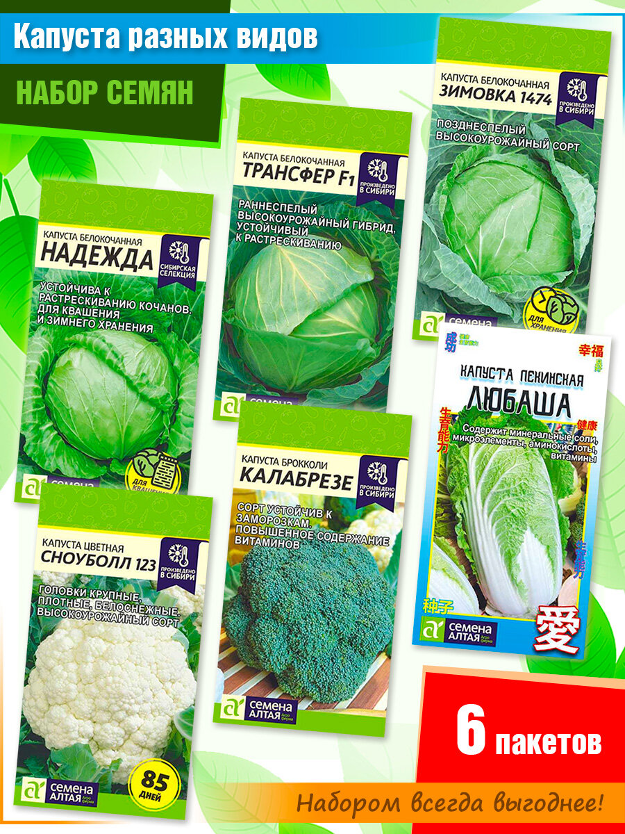 Набор семян капусты разных видов от Семена Алтая (6 пачек)