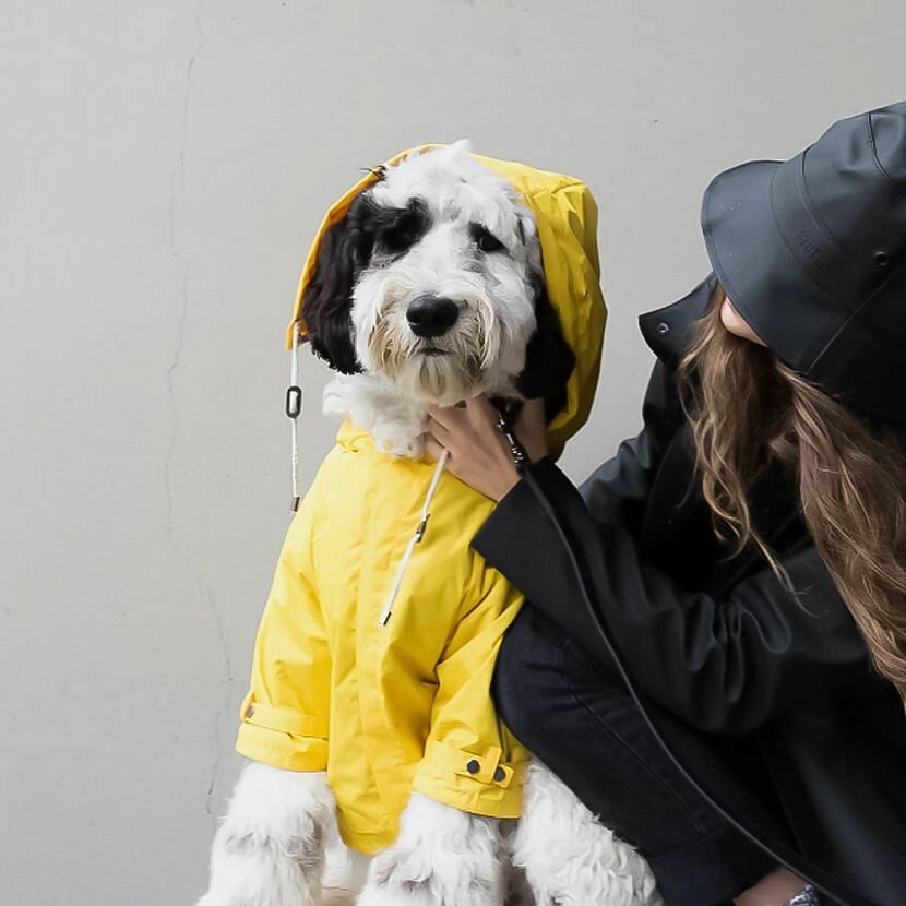 Talon Дождевик для собак XL — фото 1
