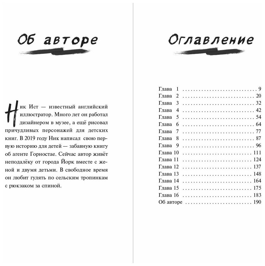 Тайна незнакомца в шляпе (Совершенно секретно! Супердетектив) - фото №8