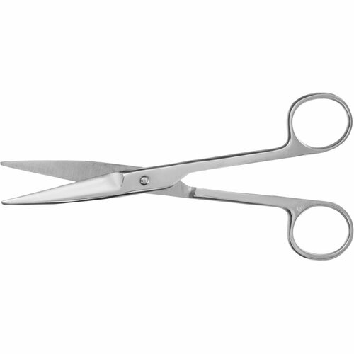 Ножницы остроконечные прямые, 170 мм Н-245