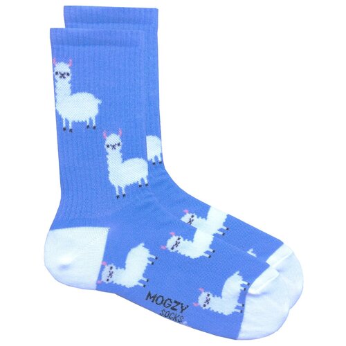 Носки MOGZY, размер 41-45, голубой носки mogzy с надписью без мозгов