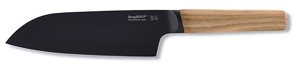  BERGHOFF  Ron, 16 , 3900013