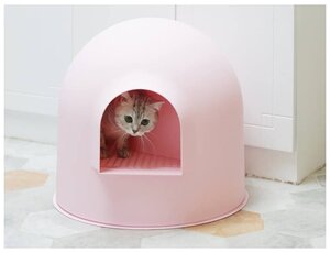 Pidan igloo hotsell litter box