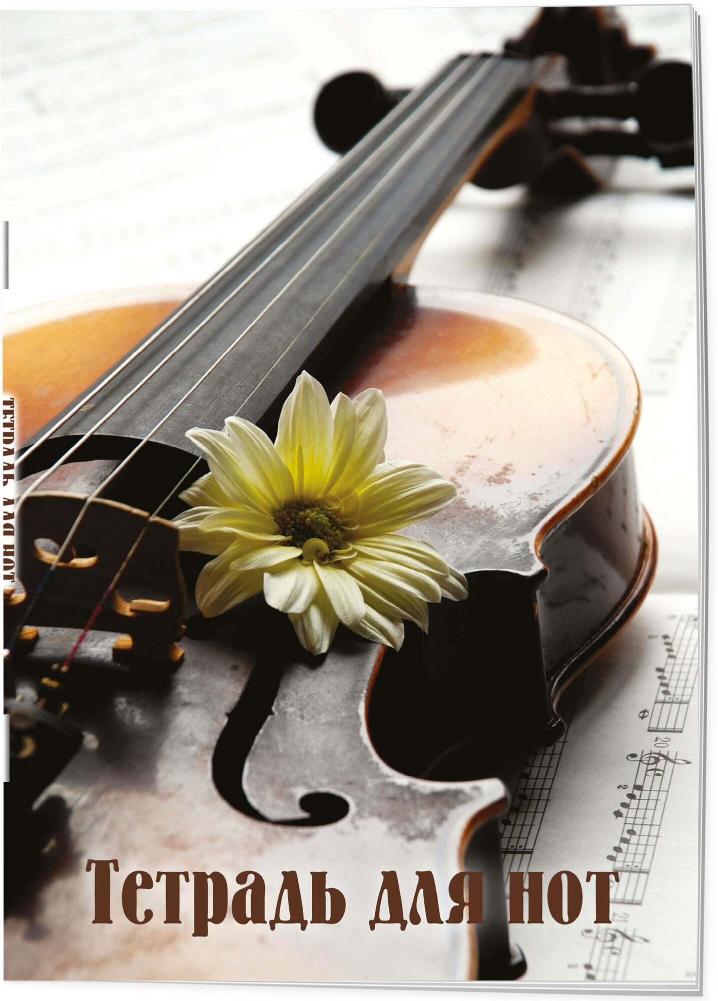 Тетрадь для нот. Скрипка с цветком (24 л А4 вертикальная скрепка)