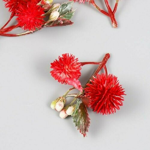 Цветы для декорирования Эхинопс с ягодками красный 8 см/по 5 шт