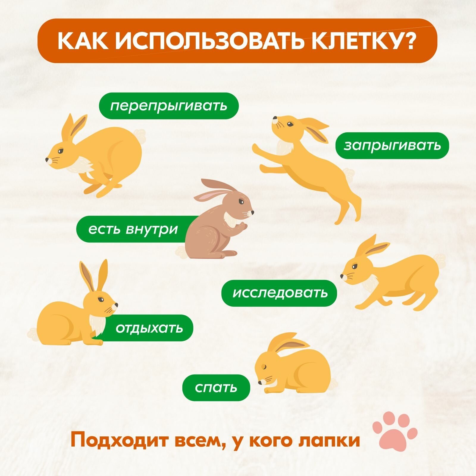 Клетка для кроликов PetTails №1 складная, шаг прута до 25мм, 58*40*h34см (+миска, 2 кормушки) беж-черн - фотография № 5