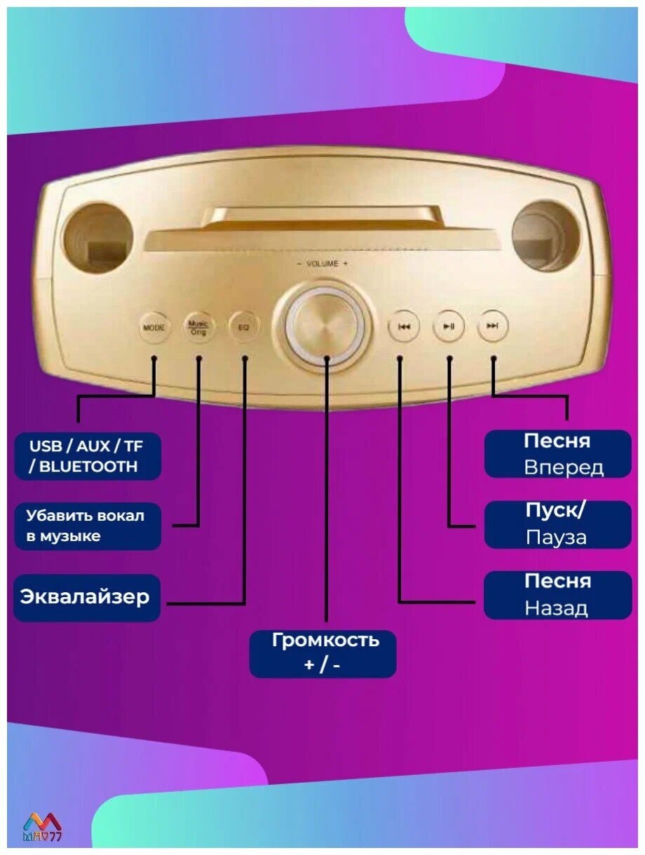 Система караоке SDRD SD 306 Plus