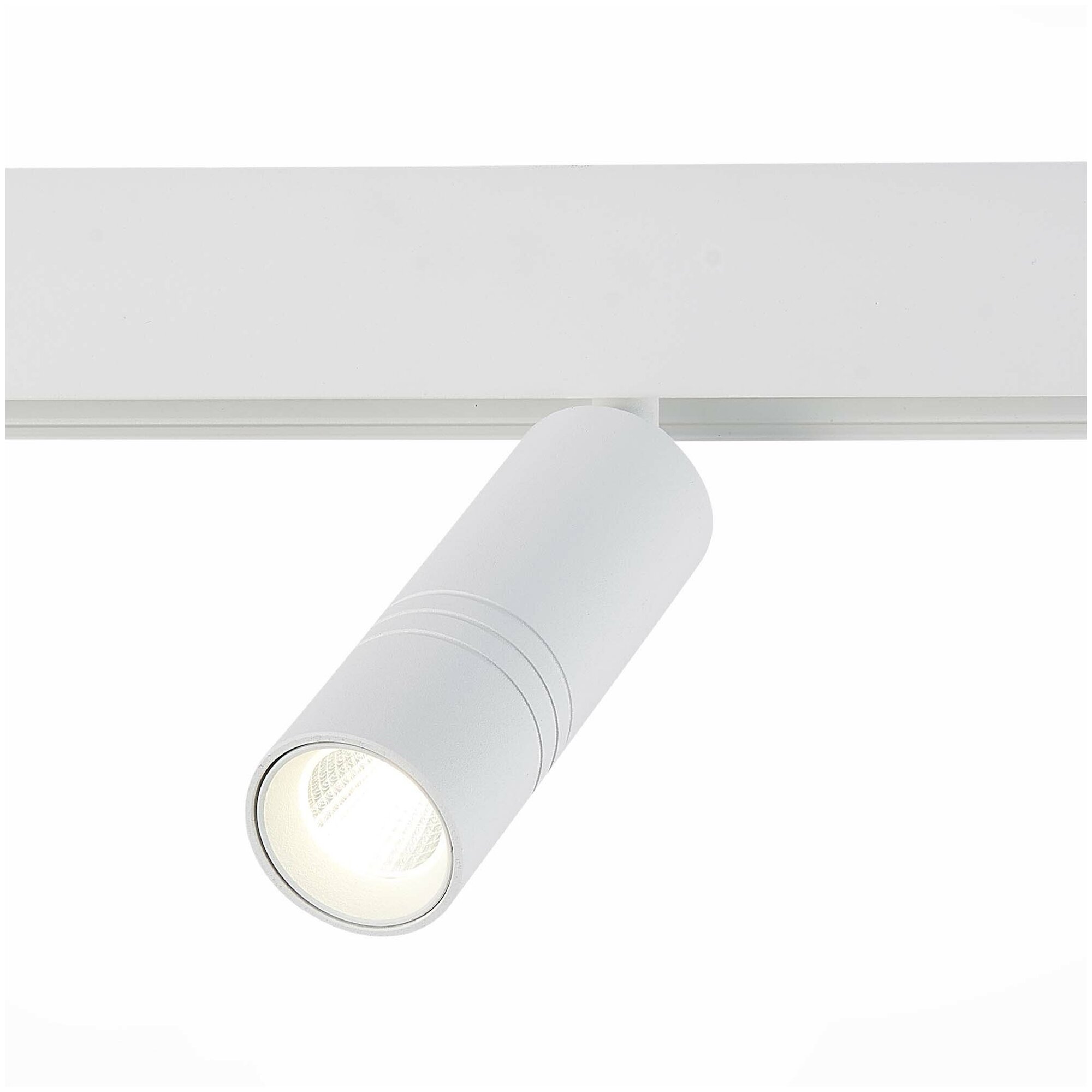 ST Luce Трековый светильник ST LUCE SKYLINE 48 ST365.546.12