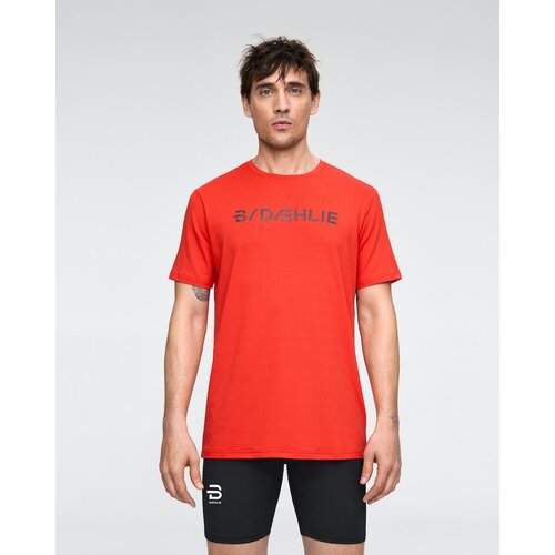 Беговая футболка Bjorn Daehlie Focus, силуэт прямой, влагоотводящий материал, размер S, красный