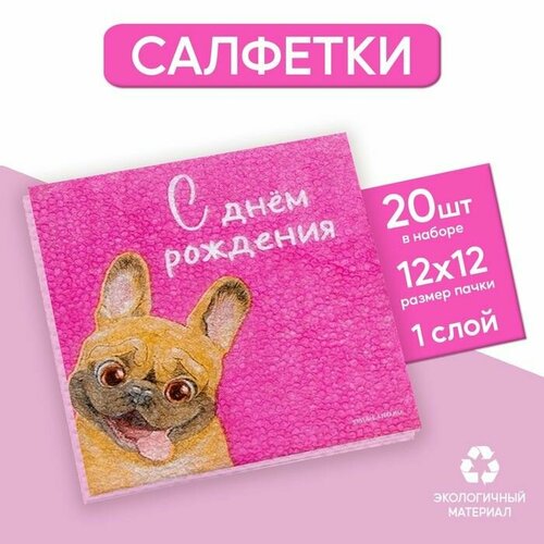 Салфетки бумажные С Днeм Рождения, пeсель, 24х24 см, 20 шт