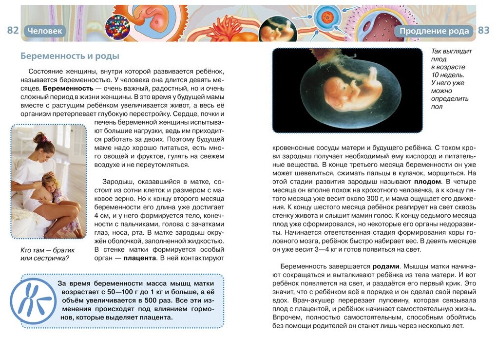 Человек. Детская энциклопедия РОСМЭН - фото №10