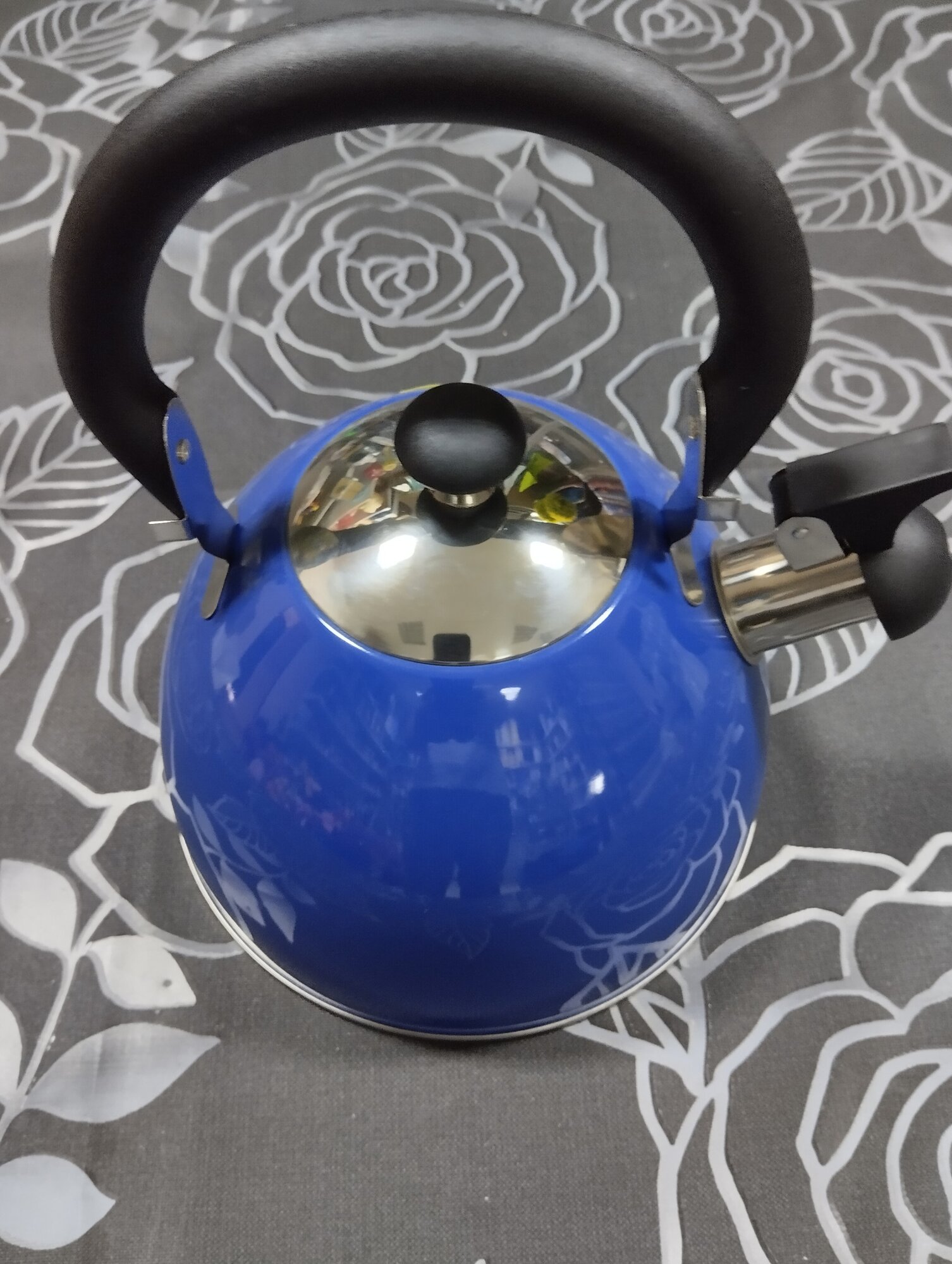 Чайник из нержавеющей стали Катунь Кухня Индиго КТ-106E со свистком, 2.5 л (синий)