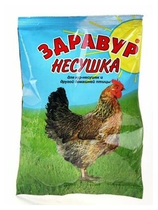 Премикс "Несушка" 250 г - фотография № 4