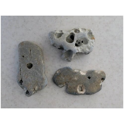 Морской природный камень с ямками 3шт. 5-10см. для аквариума