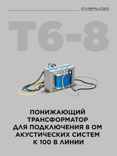Изображение товара CVGAUDIO T-6/8 Понижающий трансформатор
