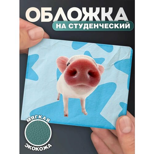 Обложка для студенческого билета КРАСНИКОВА, голубой/розовый