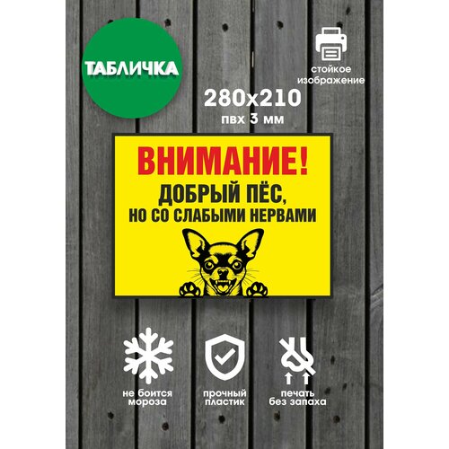 фото Табличка "злая собака" на дверь, ворота, стену 28х21см гкм