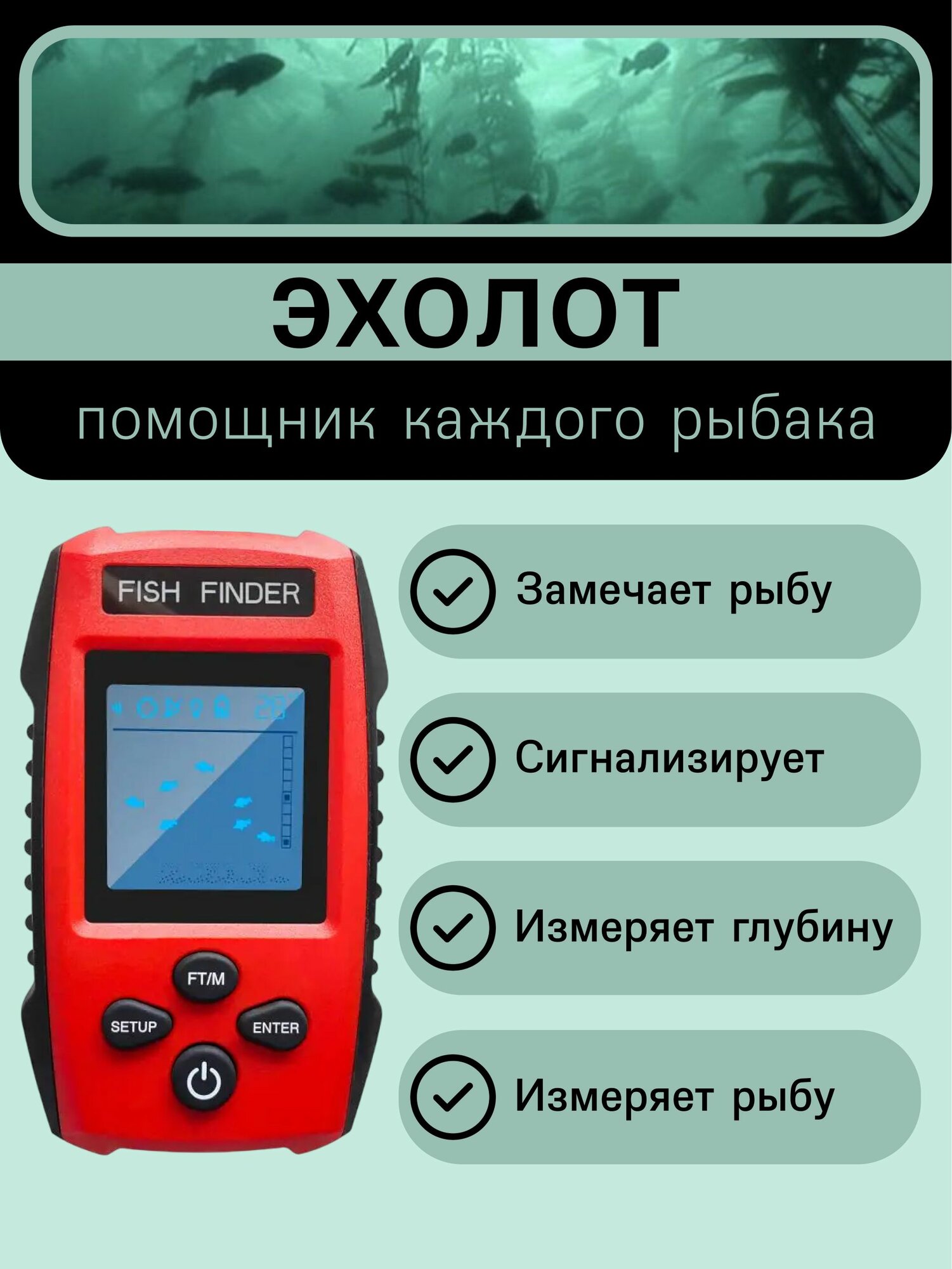 Эхолот для зимней и летней рыбалки