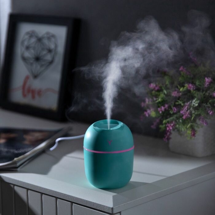 Увлажнитель воздуха Luazon Home HM-20 ультразвуковой, 0.22 л, 1.5 Вт, USB, зелёный