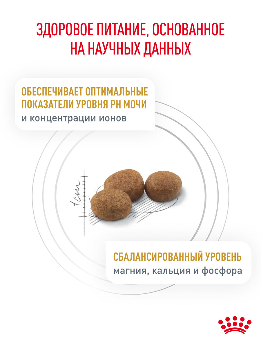 Препараты От Мочекаменной Болезни Сухой корм для кошек Royal Canin Urinary S/O при мочекаменной болезни, 0,35 кг