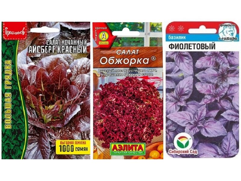 Набор семян Фиолетовые Вкусняшки (Базилик Фиолетовый, Салат Айсберг Красный, Салат Обжорка)