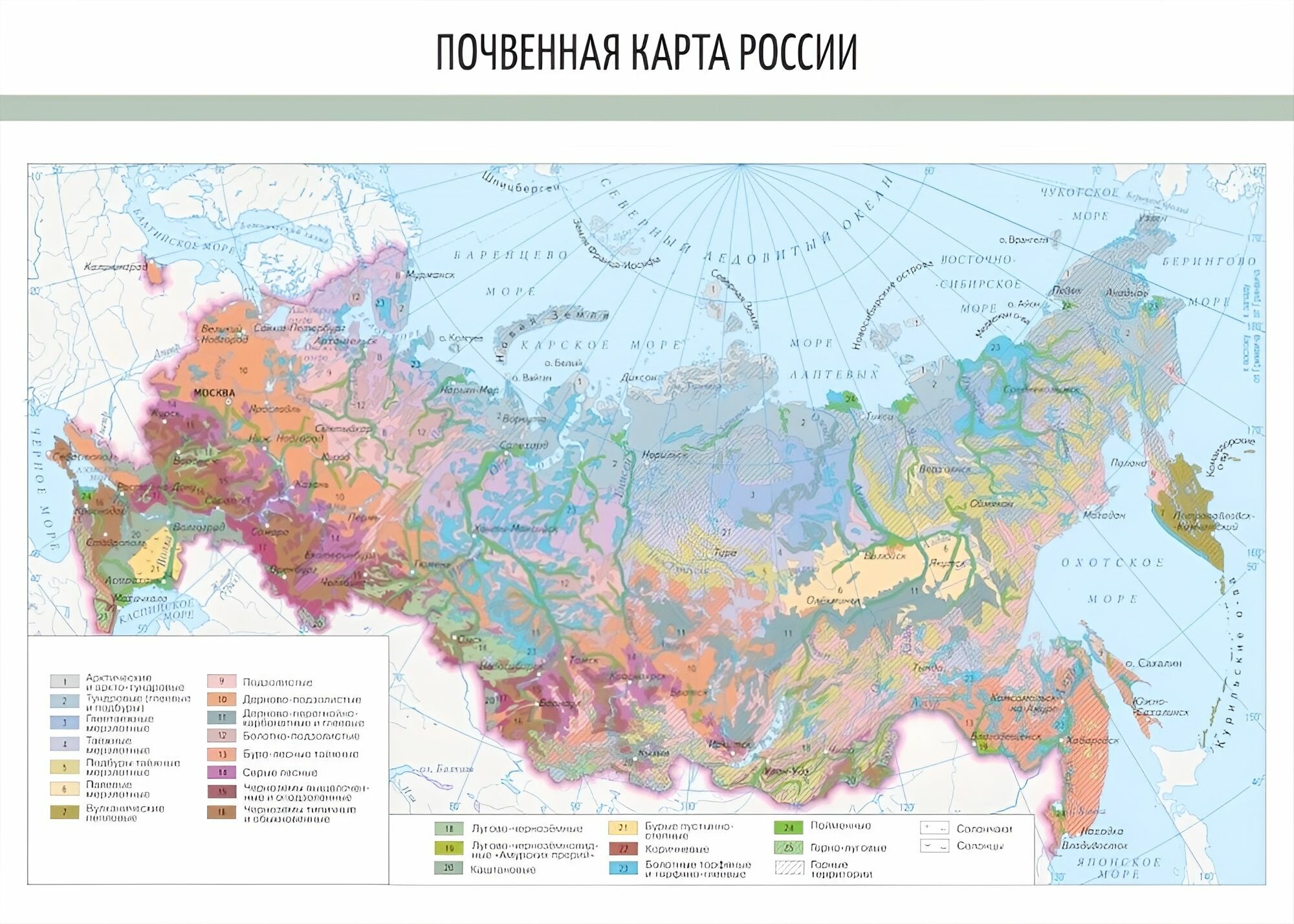 Почвенная карта России 8-9 классы (Винил. 70х100см.)