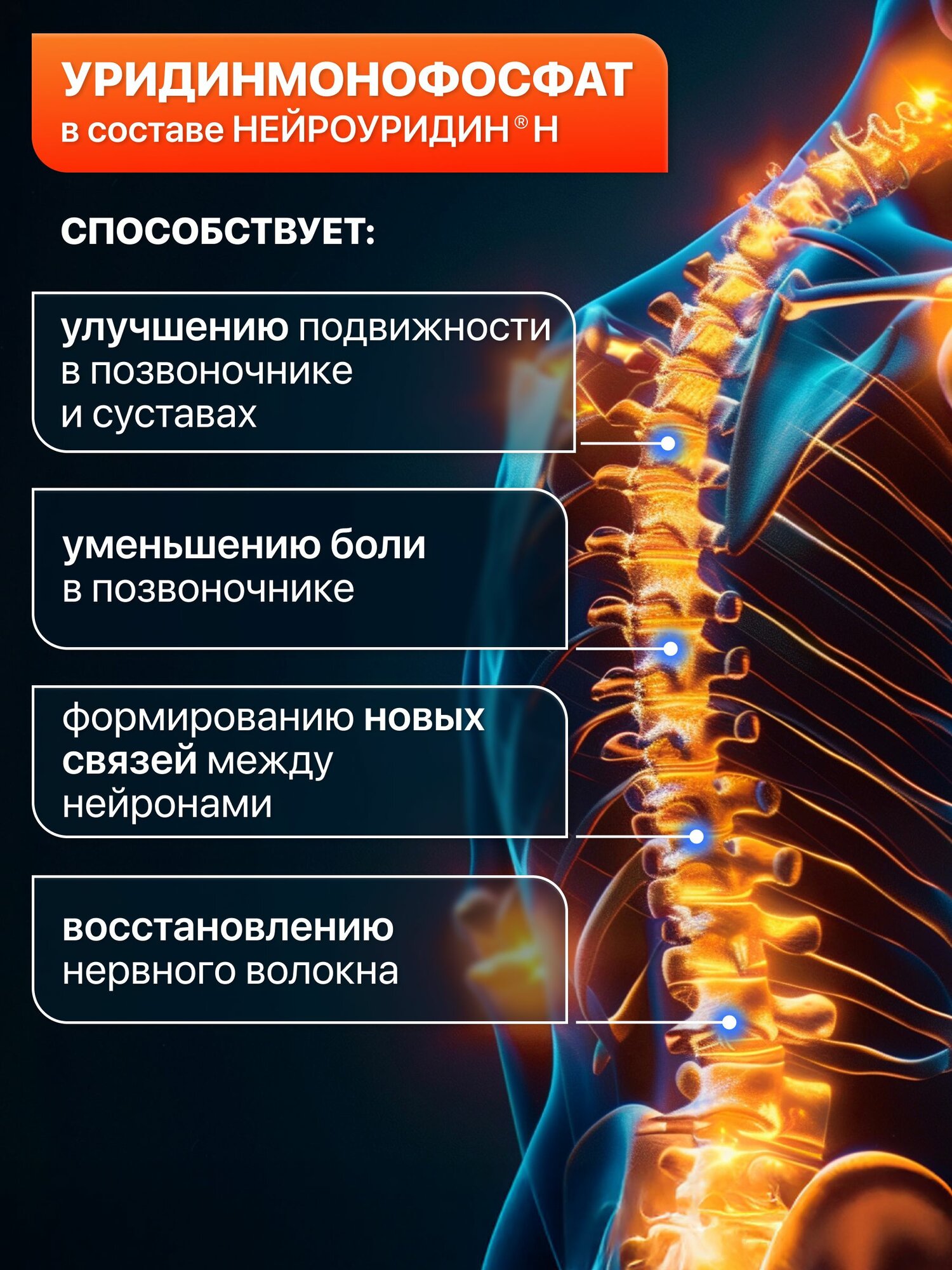 Нейроуридин Н нейропротектор. Уридинмонофосфат и холин для снижения болевого синдрома в позвоночнике и восстановления поврежденных нервных волокон. 20 капсул — фото 1