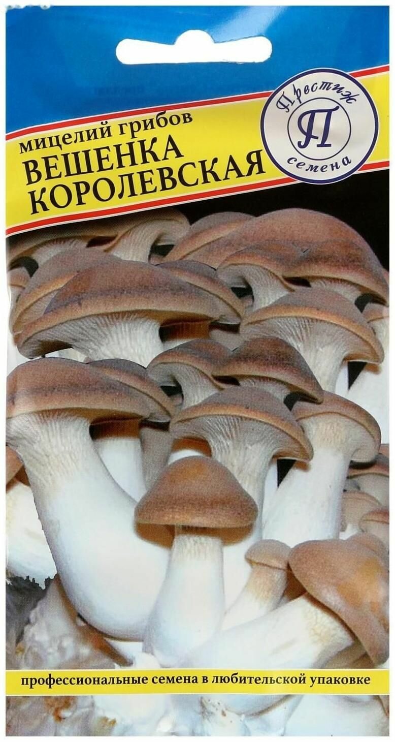 Мицелий грибов Вешенка королевская для высаживания на древесную основу уп. 6 шт