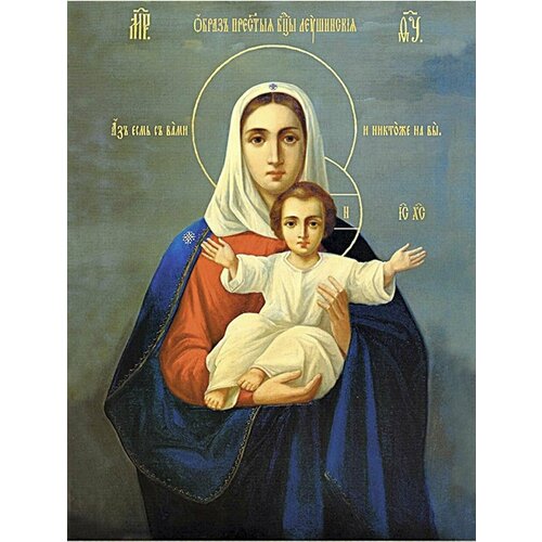 Икона Божией Матери «Аз есмь с вами, и никтоже на вы» (Леушинская) деревянная икона на левкасе 33 см