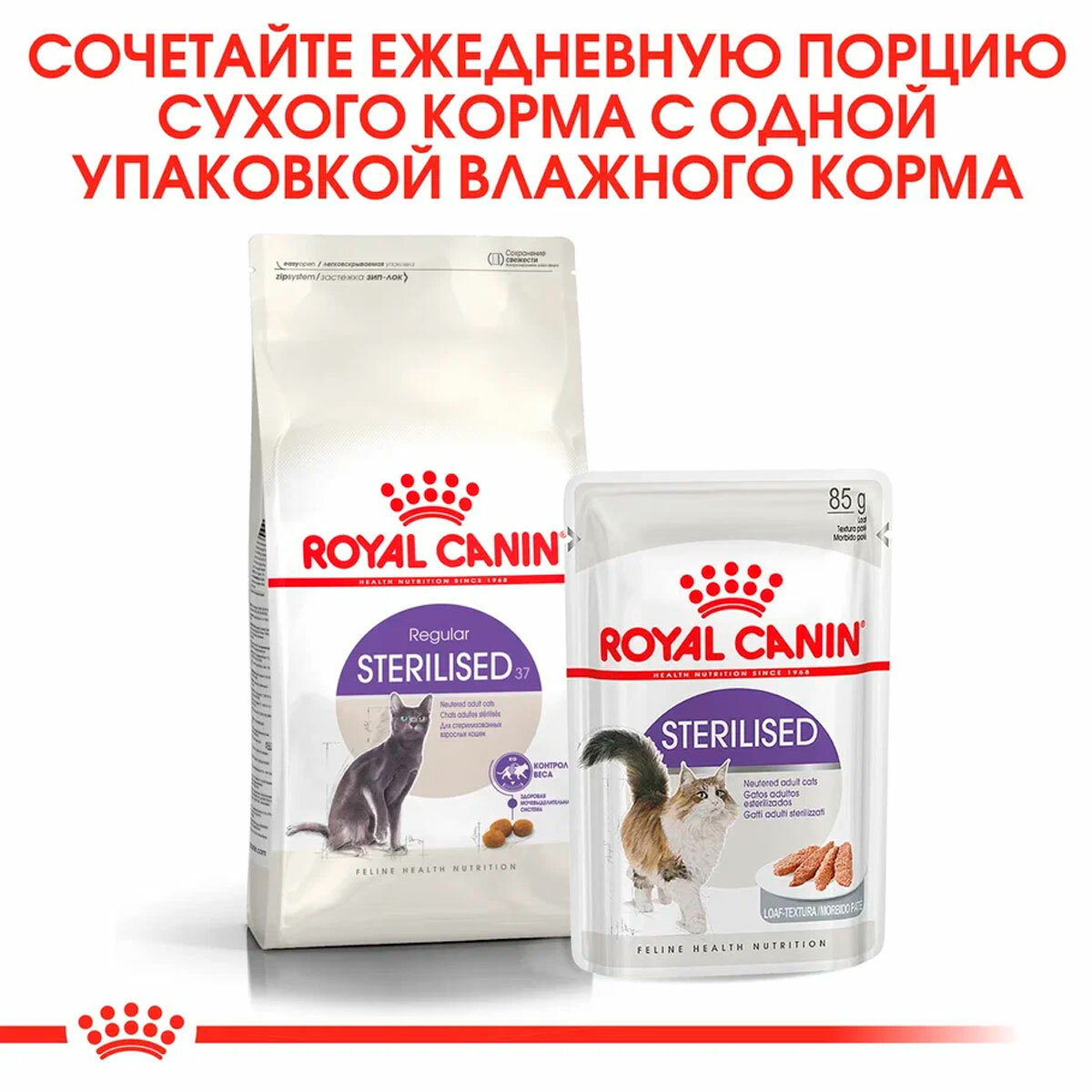 ROYAL CANIN STERILISED 37 для взрослых кастрированных котов и стерилизованных кошек (0,2 + 0,2 кг) - фотография № 5