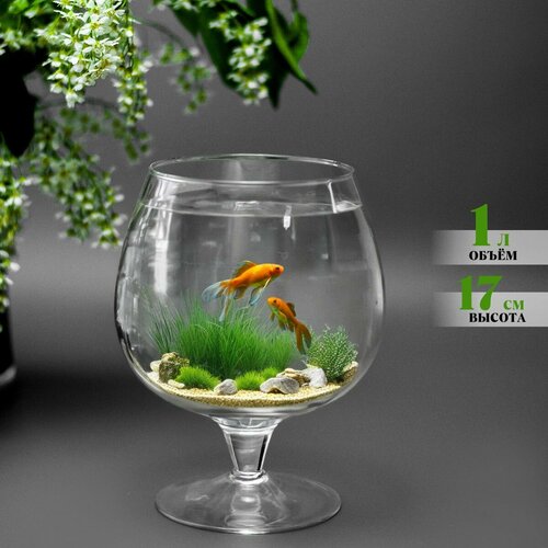 Аквариум бокал для рыбок 1л стеклянный