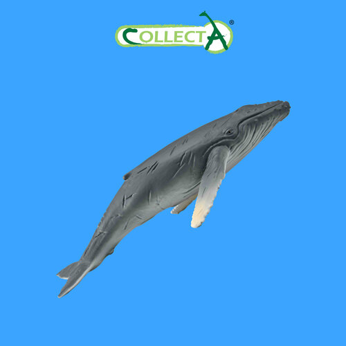 фото Фигурка морсого животного collecta, горбатый кит детёныш