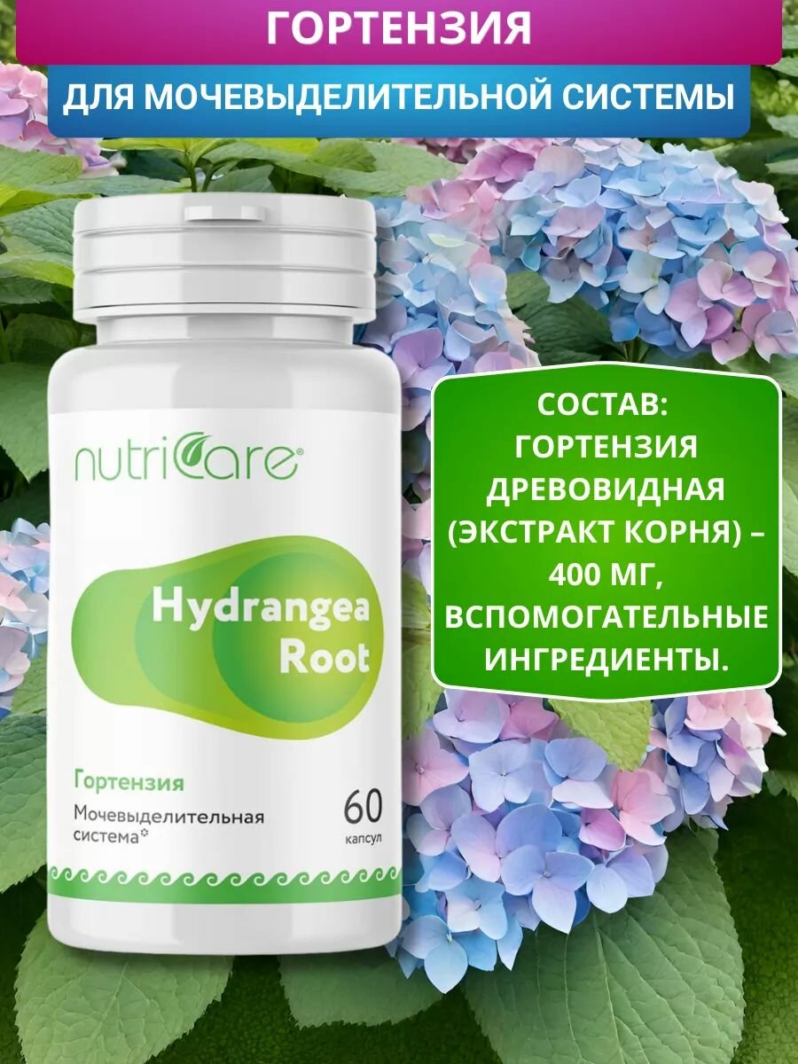 Изображение Гортензия TSN для половой сферы при цистите и простатите, капсулы 60 шт.