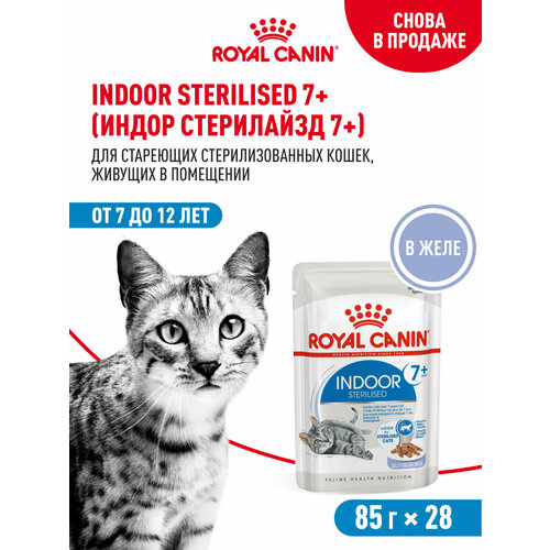 Royal Canin INDOOR STERILISED 7+ (ИНДОР СТЕРИЛАЙЗД 7+) Корм консервированный полнорационный для кошек (в возрасте от 7 до 12 лет), живущих в помещении, мелкие кусочки в желе, 28 шт по 85г