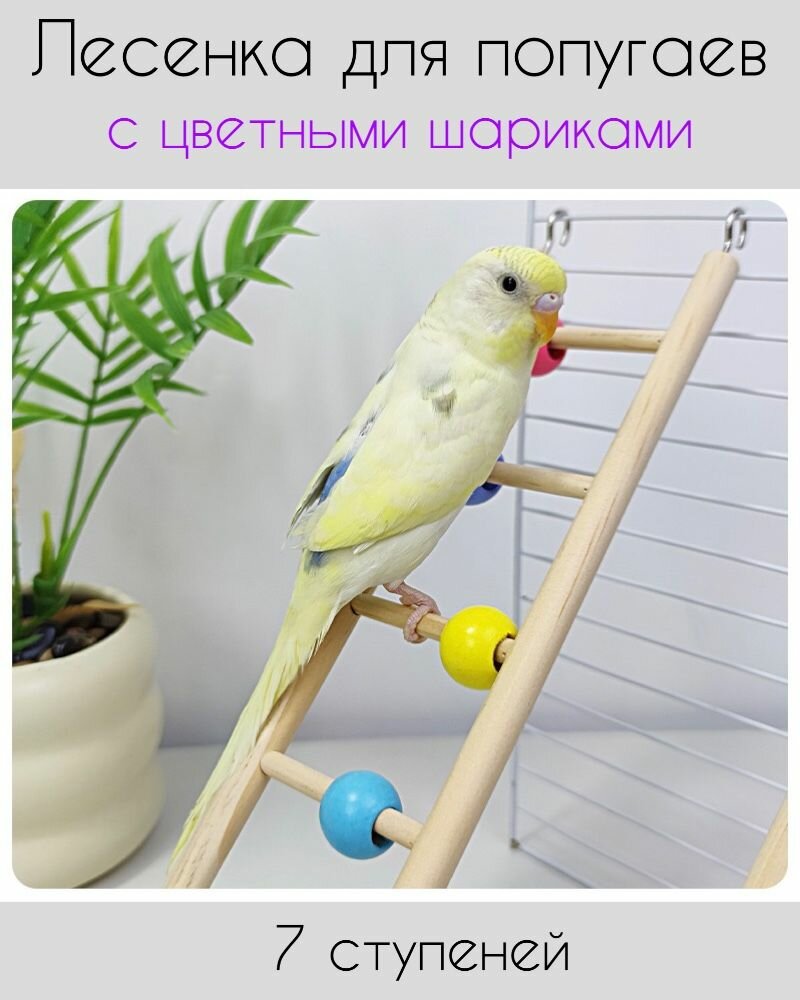 Игрушка Лесенка с шариками с бусинами 7 ступеней для попугаев и других птиц  дерево
