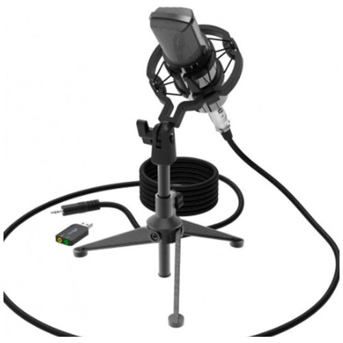 Микрофон конденсаторный Ritmix RDM-160 пластик 20-20000Гц -34 дБ 2 дБ кабель 25м цвет чёрный 192600₽